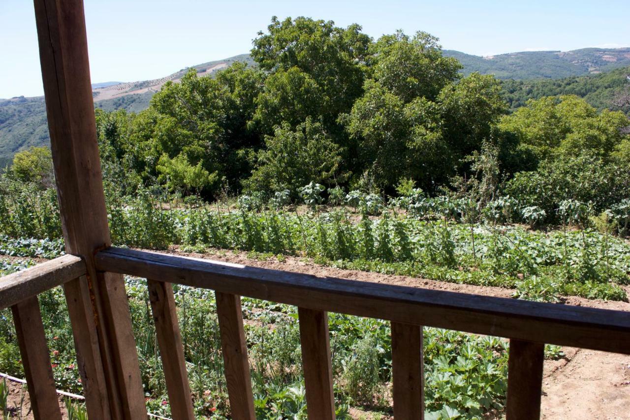 Casa Da Barriada I Bragança Eksteriør bilde