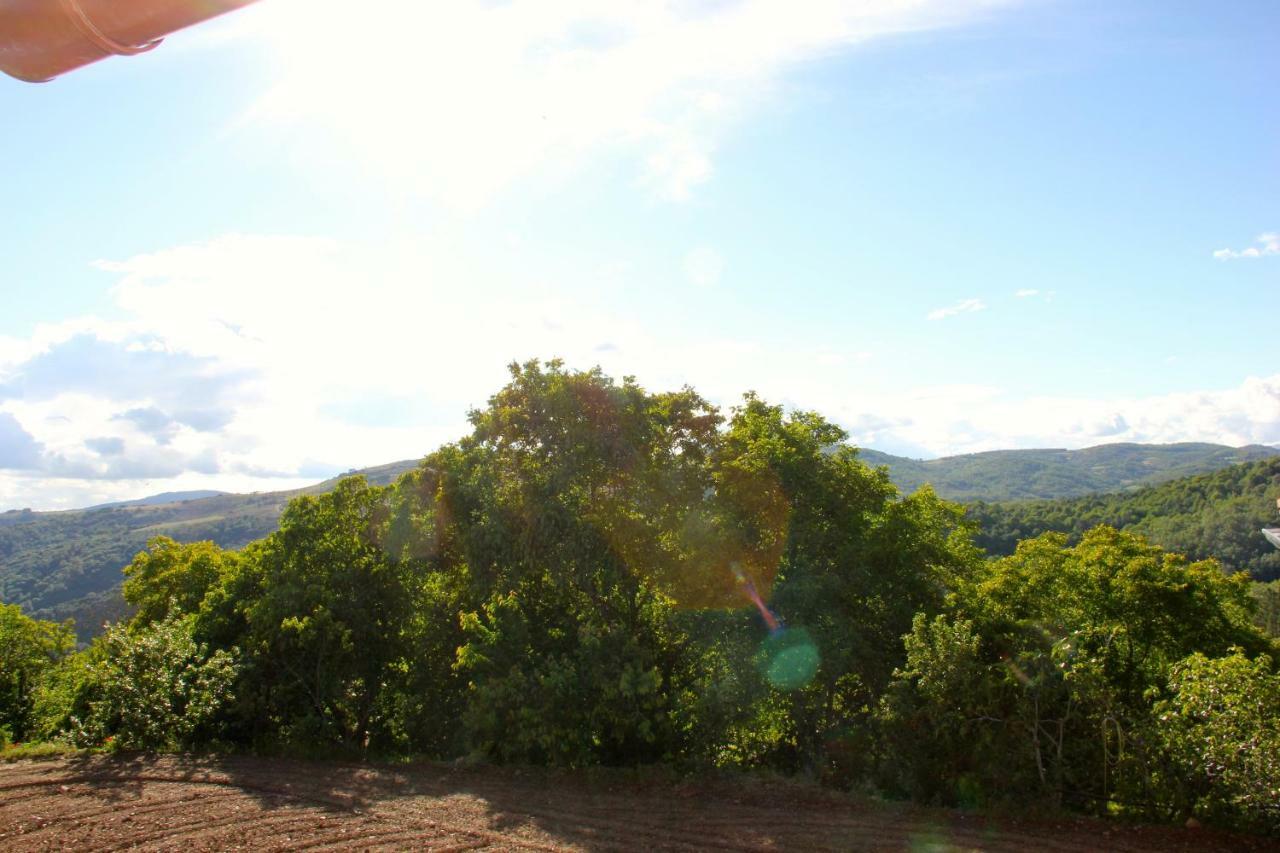 Casa Da Barriada I Bragança Eksteriør bilde